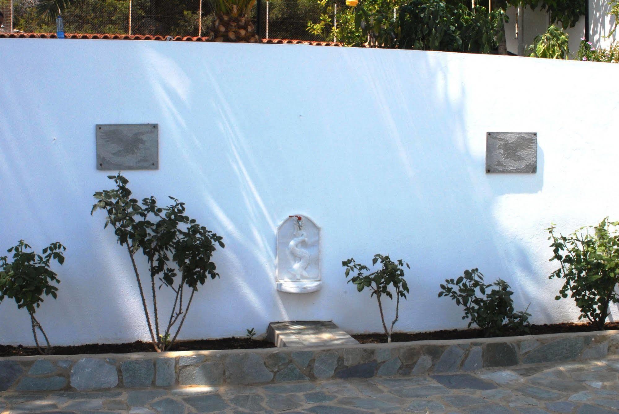 Travlos Studios Eleios-Pronnoi Extérieur photo